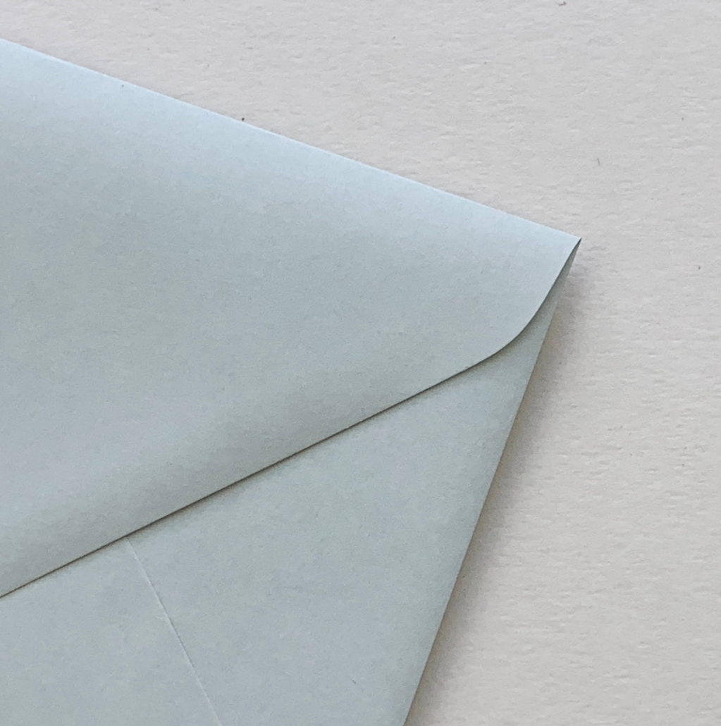 Palm Printed Envelopes