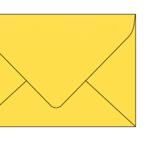 Palm Printed Envelopes