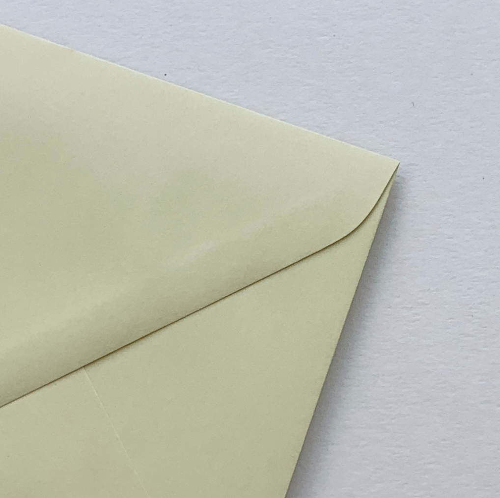 Palm Printed Envelopes